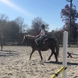 Meet your Posher, Tyler